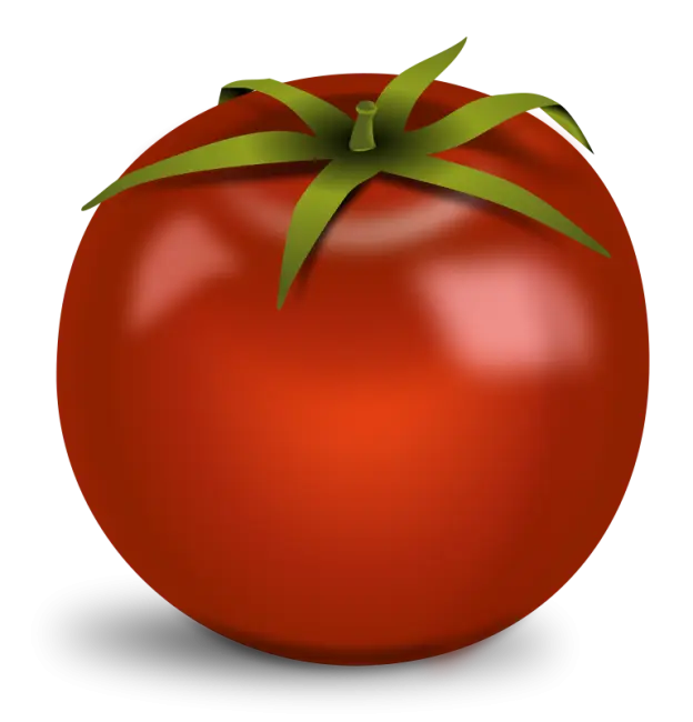 Tomato