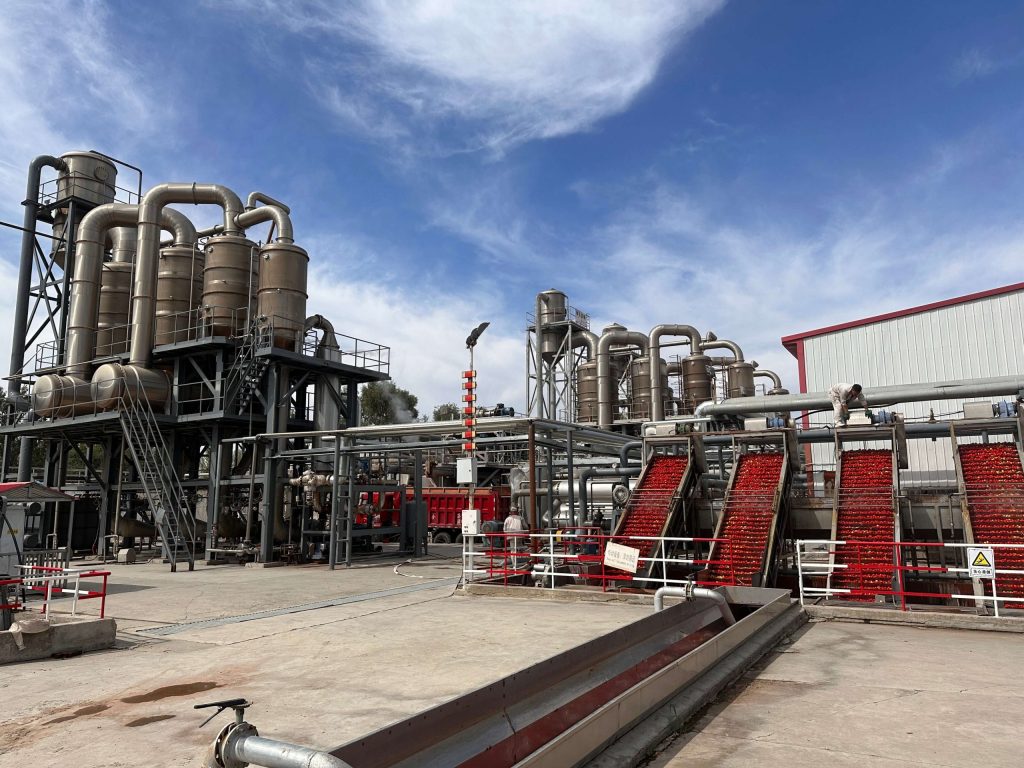 China Tomato Paste Factory
